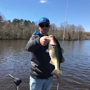 Meet your Posher, Benjy